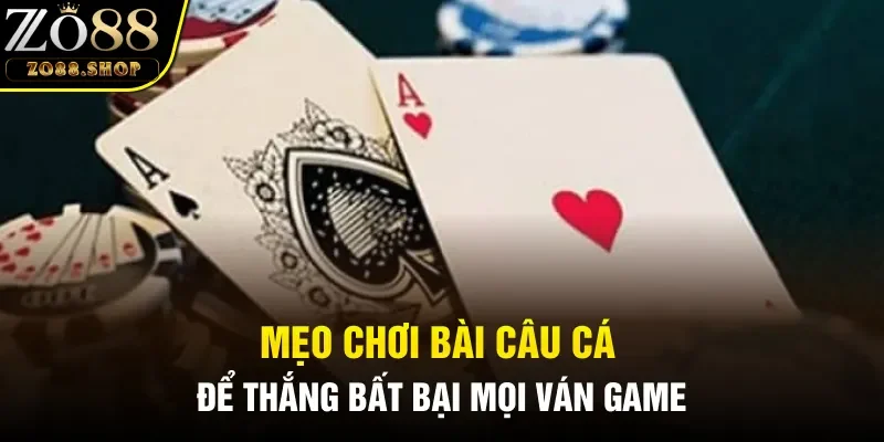 Mẹo chơi Bài Câu Cá để thắng bất bại mọi ván game