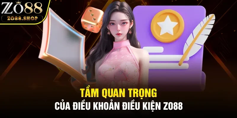Tầm quan trọng của điều khoản điều kiện Zo88